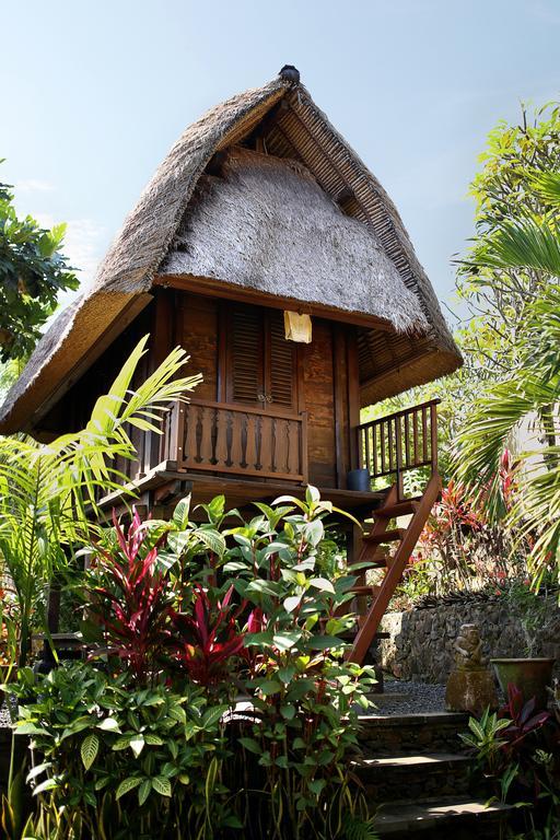 Villa Patria Lovina Rum bild