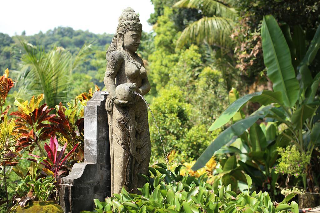 Villa Patria Lovina Rum bild